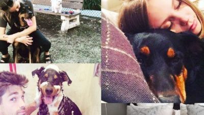 Melissa Ordway and Michael Gaston Remember Lost Pet