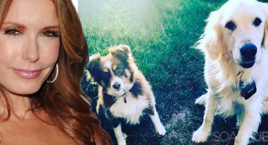 Devastating News for Soap Star Tracey Bregman’s Beloved Dog