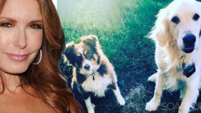 Devastating News for Soap Star Tracey Bregman’s Beloved Dog