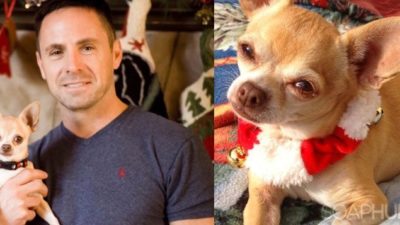 William deVry Pays Tribute To His Lost Pup In a VERY Special Way