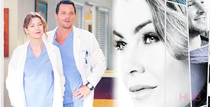 Stunning Grey’s Anatomy Season 14 Poster Features Alex On Meredith’s Mind!