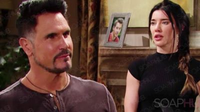 Are You All For A Relationship Between Bill And Steffy On The Bold And The Beautiful?