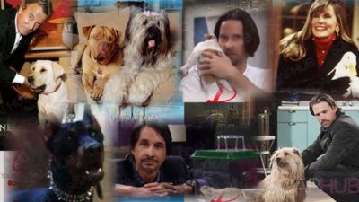 Four Legged Friends: Should Soap Characters Have More Pets