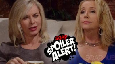 The Young and the Restless Spoilers: Nikki’s Jaw-Dropping Indecent Proposal