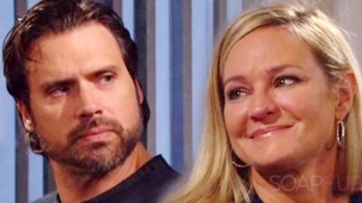 Play It Again: How Fans Really Feel About Sharon and Nick Reuniting on The Young and the Restless (YR)