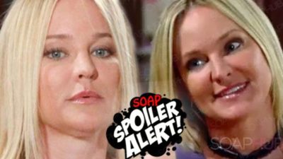 The Young and the Restless Spoilers (YR): A Mental Breakdown