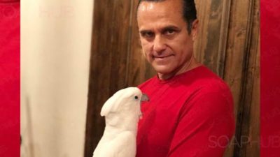 Maurice Benard’s Musical Christmas Mayhem… With A Little Help