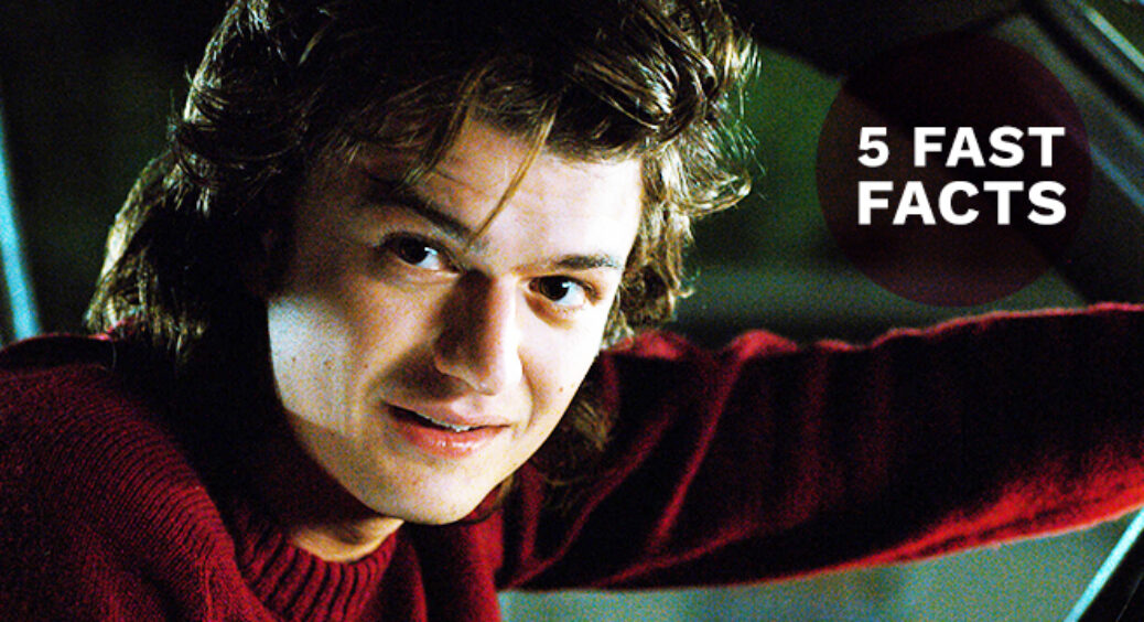 Five Fast Facts About Steve Harrington on Stranger Things