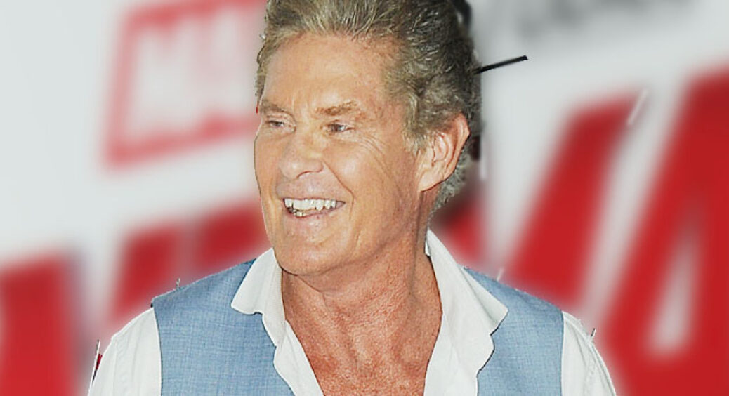 David Hasselhoff Facts: Celebrities Who Started on Soaps