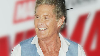 David Hasselhoff Facts: Celebrities Who Started on Soaps