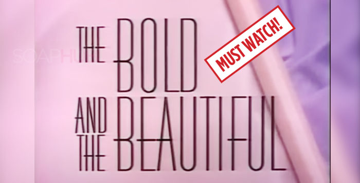 The Bold and the Beautiful logo
