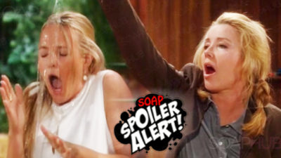 The Young and the Restless Spoilers: Nikki And Sharon Exactly As You Want Them