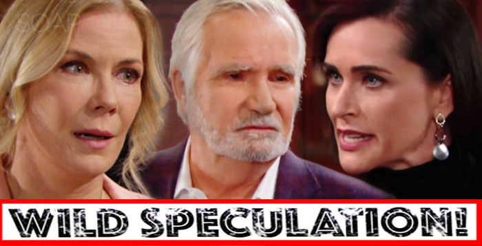 The Bold and the Beautiful Spoilers Spec Brooke Eric Quinn