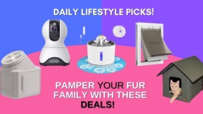 A Buying Guide:  The Best Deals for Your Fur Buddy