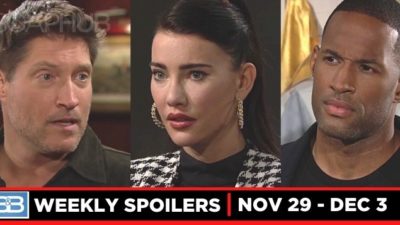 B&B Spoilers for Week of November 29: Family Feuds and Frenemies