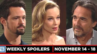 B&B Spoilers for the Week of November 14: Panic, Passion, And A Proposal