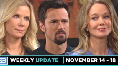 B&B Spoilers Weekly Update: A Romantic Proposal And A Poignant Goodbye