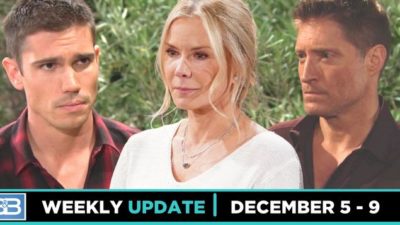 B&B Spoilers Weekly Update: Detective Work And A Severe Threat