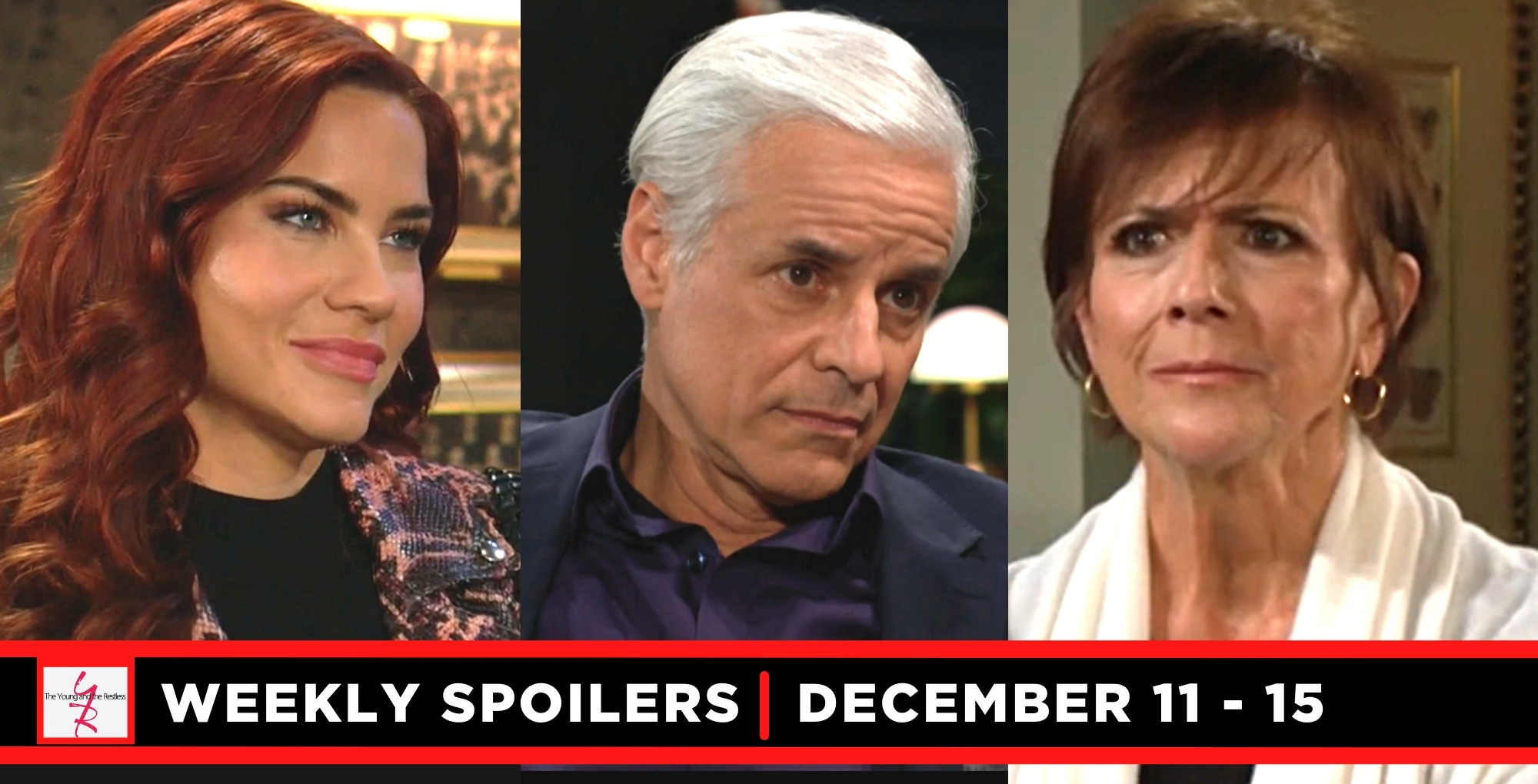 the young and the restless spoilers for the week of december 11-15, 2023, sally, michael, jordan.