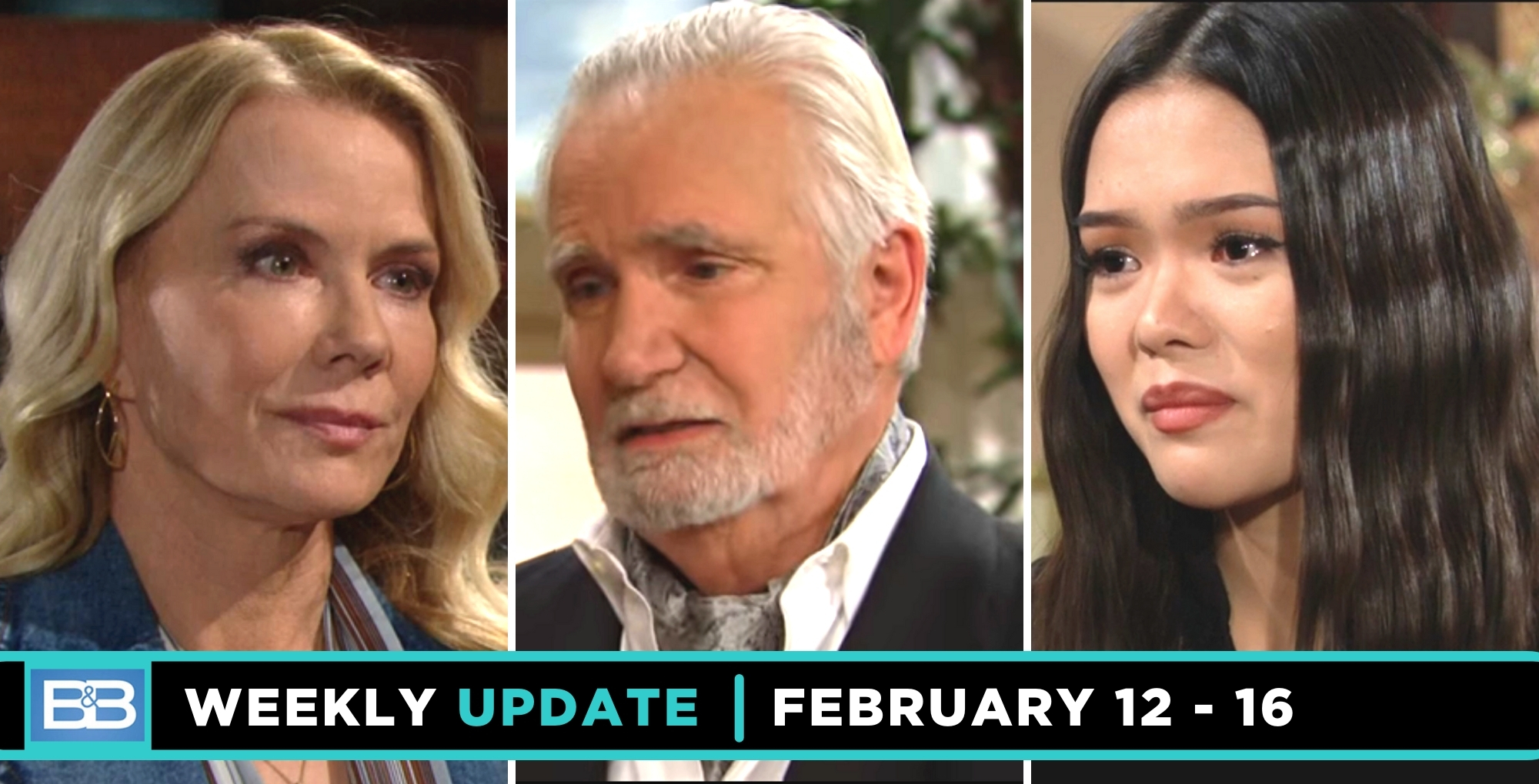 b&b spoilers weekly update for february 12 - 16 features brooke, eric, and luna.