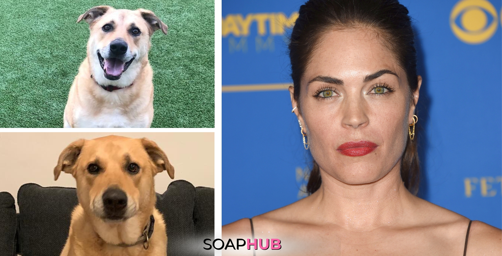 Kelly Thiebaud and her late dog Ranger with the Soap Hub logo