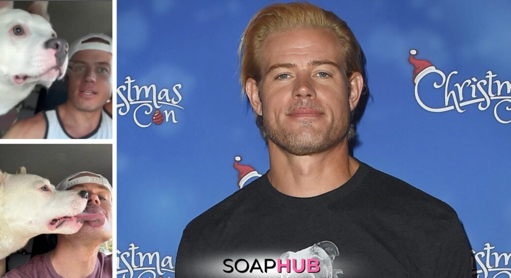 DAYS and DWTS Alum Trevor Donovan Has a New Four-Legged Friend