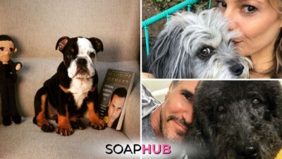 Daytime’s Gone To The Dogs: Your Favorite Soap Stars Pets