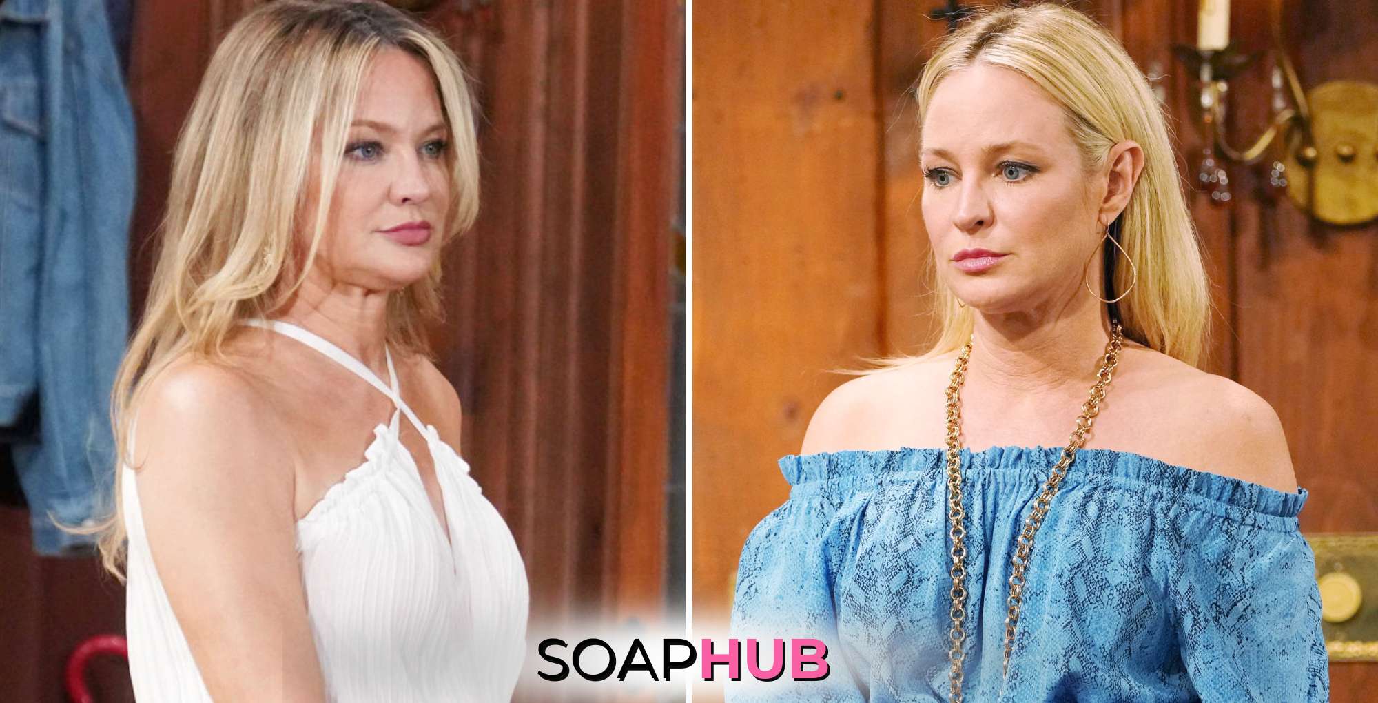 Young and the Restless spoilers June 28 with Sharon and the Soap Hub logo.