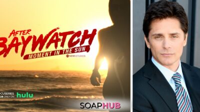 Soap Veteran Billy Warlock Reveals the Real Reason Baywatch Was Axed