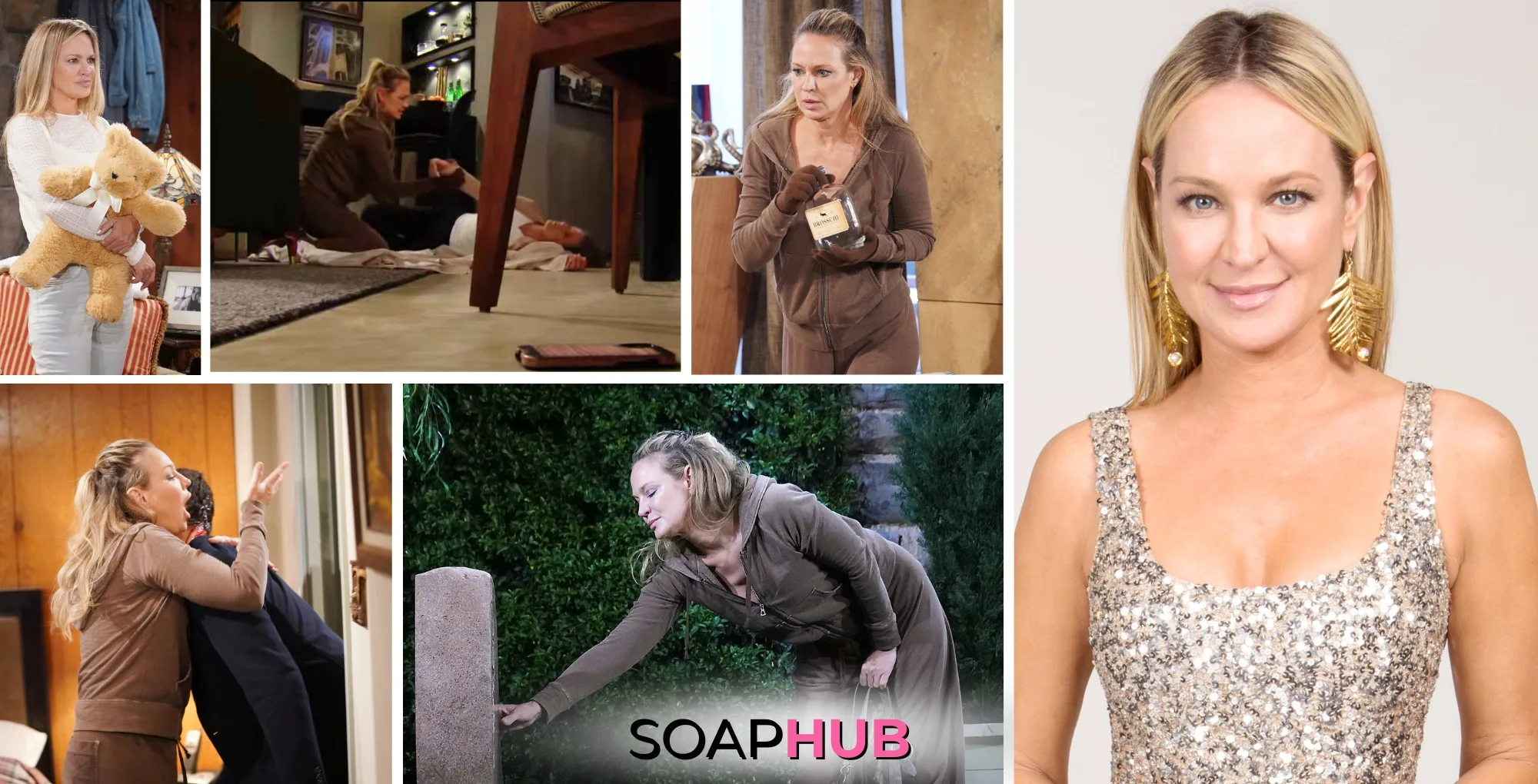 The Young and the Restless' Sharon Case with the Soap Hub logo across the bottom.