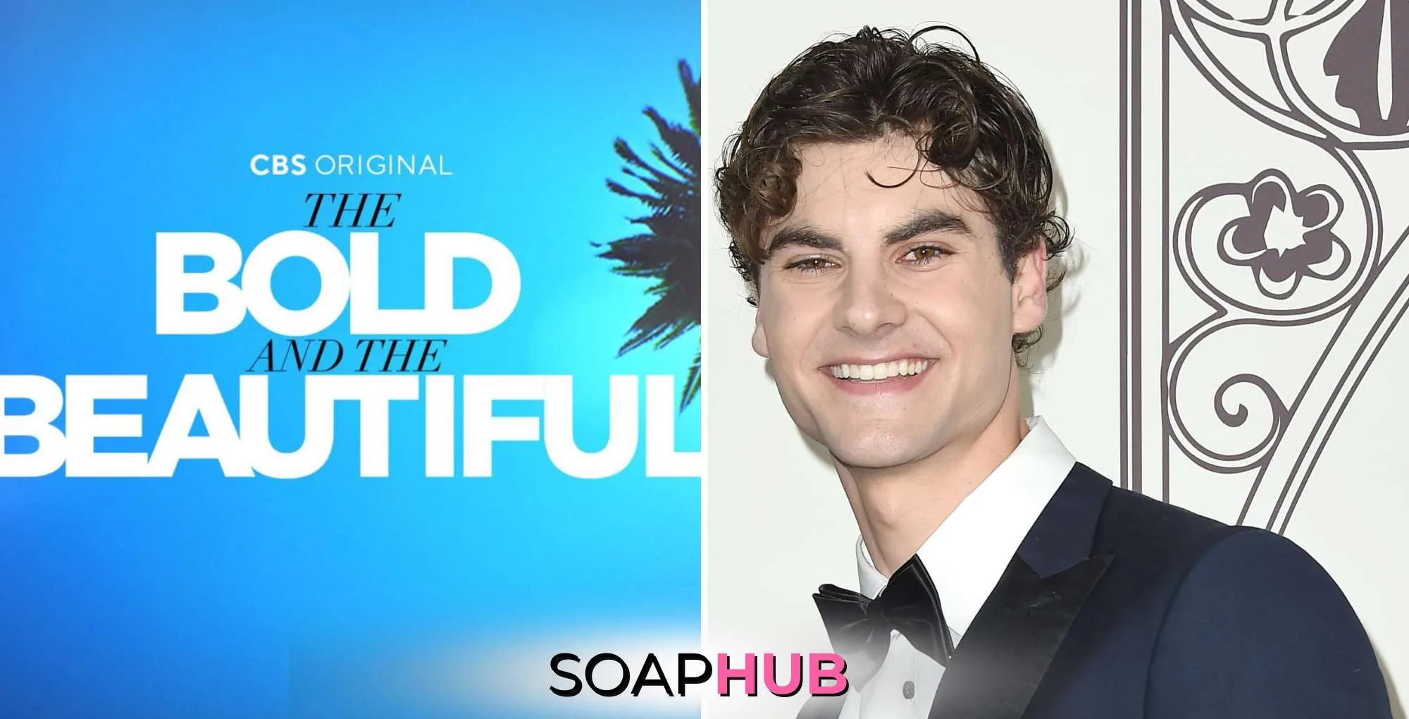 Bold and the Beautiful Christian Weissmann with the Soap Hub logo.