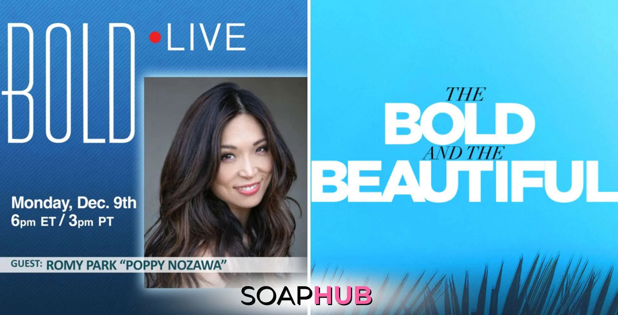 Bold and the Beautiful Romy Park Bold Live with the Soap Hub logo.