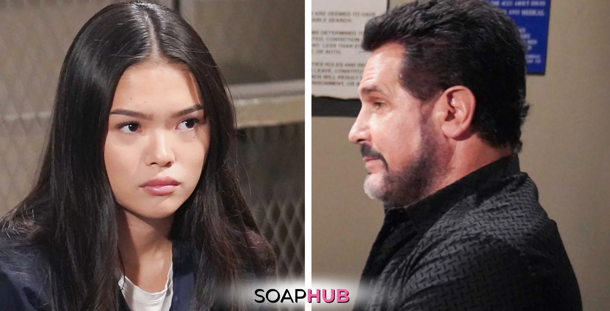 Bold and the Beautiful Spoilers for Tuesday, December 10, Episode 9419 Feature Luna and Bill With the Soap Hub Logo Across the Bottom.