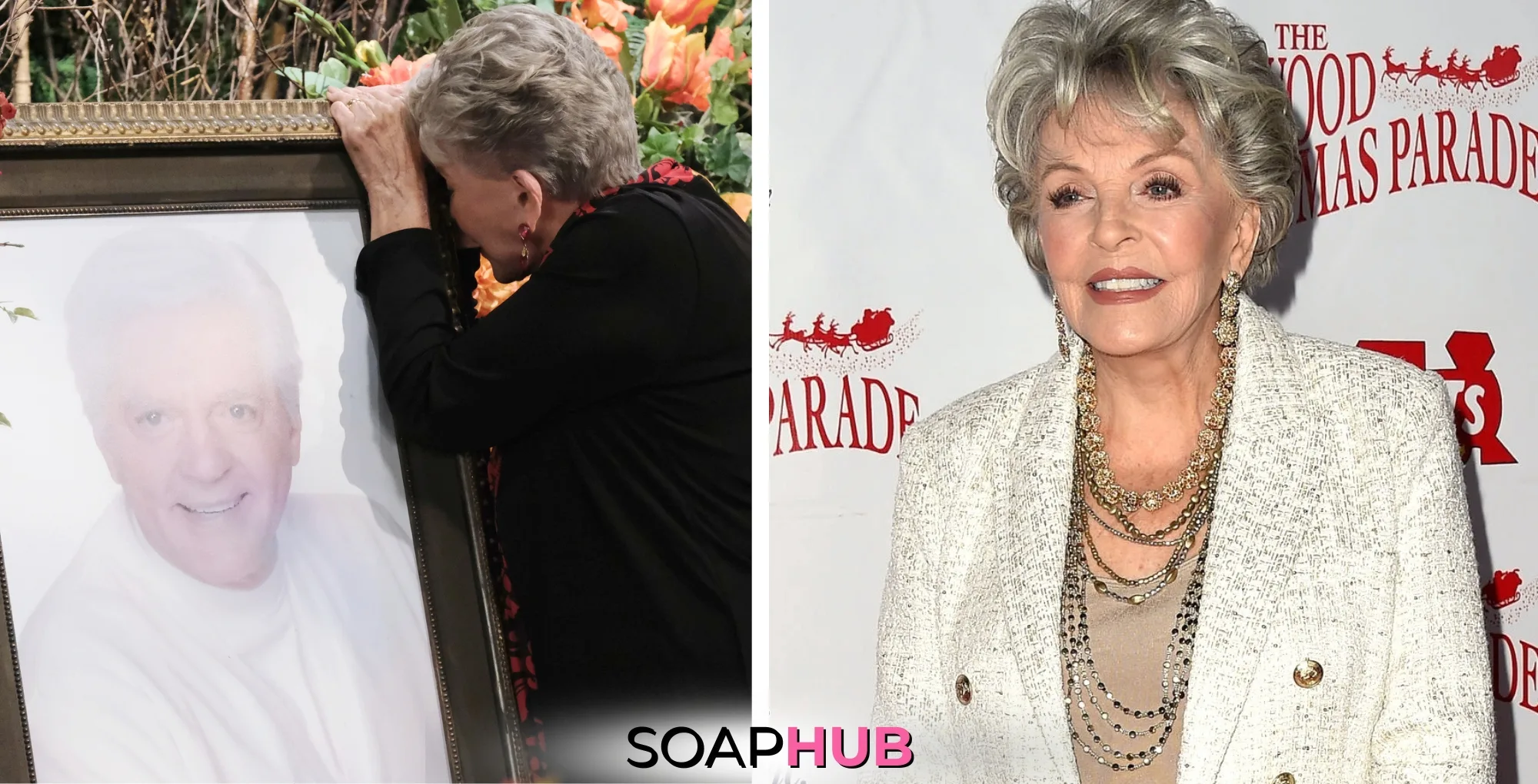 Days of Our Lives' Susan Seaforth Hayes with the Soap Hub logo across the bottom.