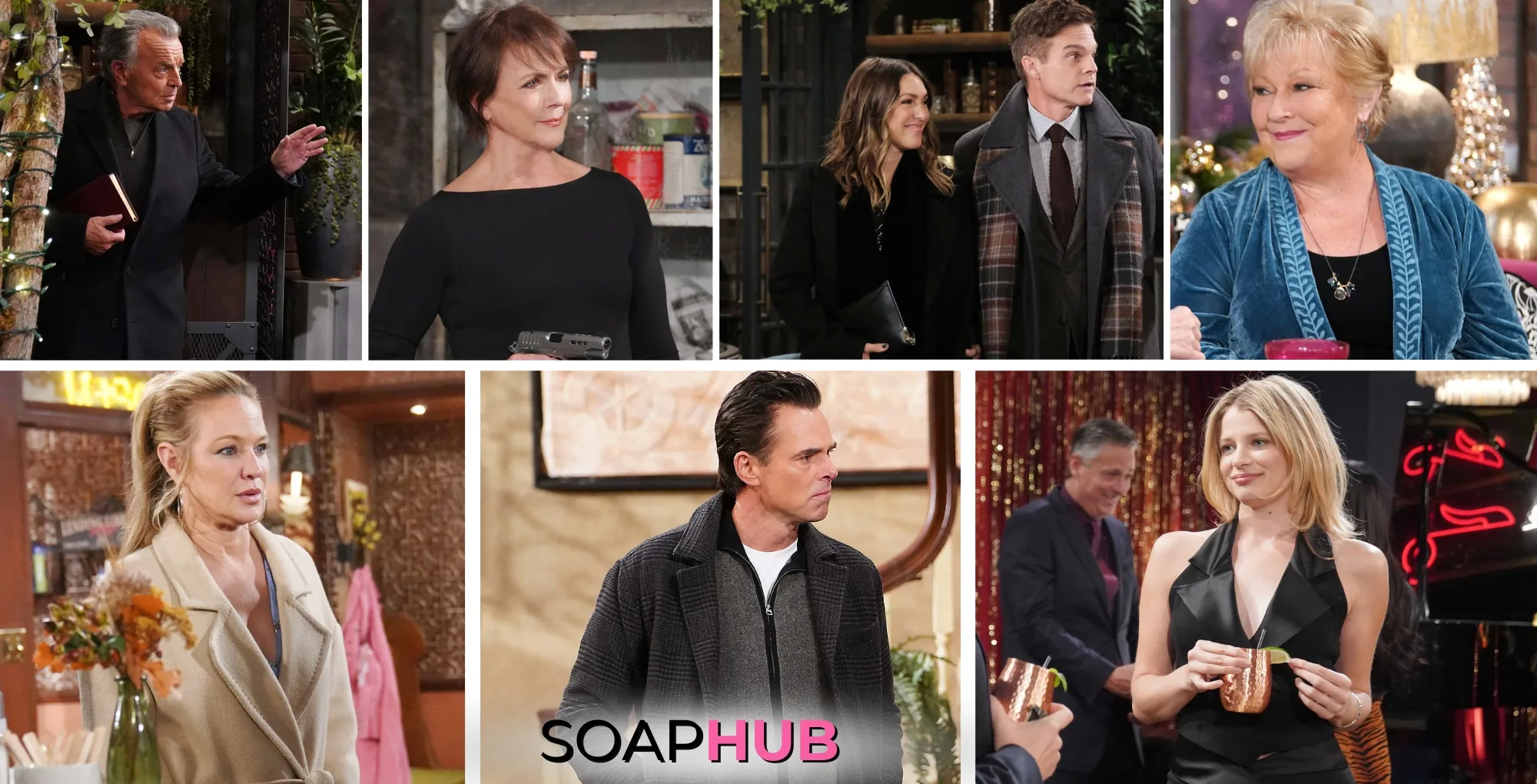 Young and the Restless card with the Soap Hub logo.