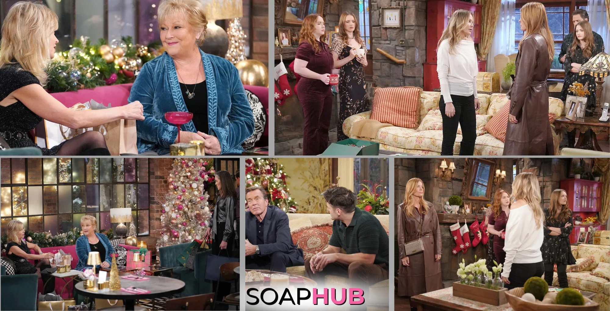 Young and the Restless Spoilers Preview December 24 with the Soap Hub logo.