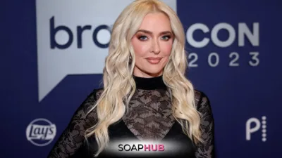 Real Housewives of Beverly Hills Star Erika Jayne Announces Surprising Collab With Pop Star