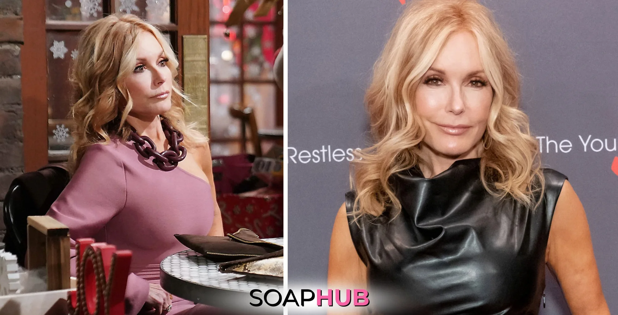 Young and the Restless Tracey Bregman feels about Lauren with the Soap Hub logo.