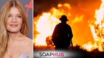 Young and the Restless Star Michelle Stafford’s Video Of Los Angeles Wildfire Starter, Authorities Deny Claims