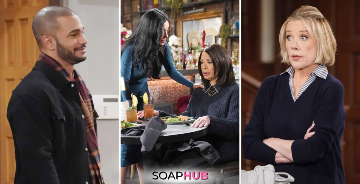 Young and the Restless Weekly Update: Damian, Audra, Amy, Nikki with the Soap Hub logo.