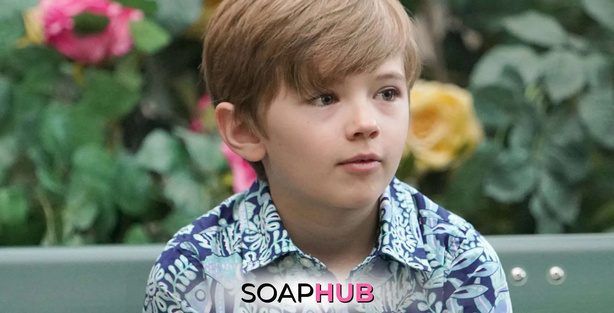 May 29 Young and the Restless Harrison.