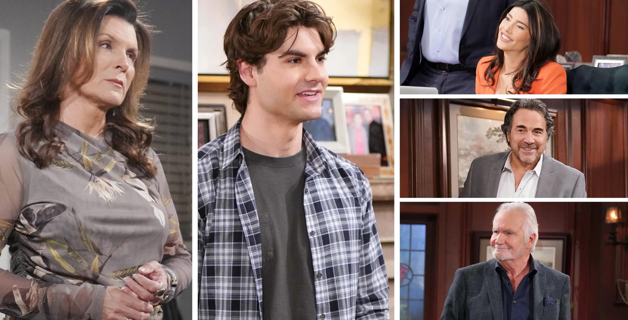 Bold and the Beautiful's Sheila and Remy