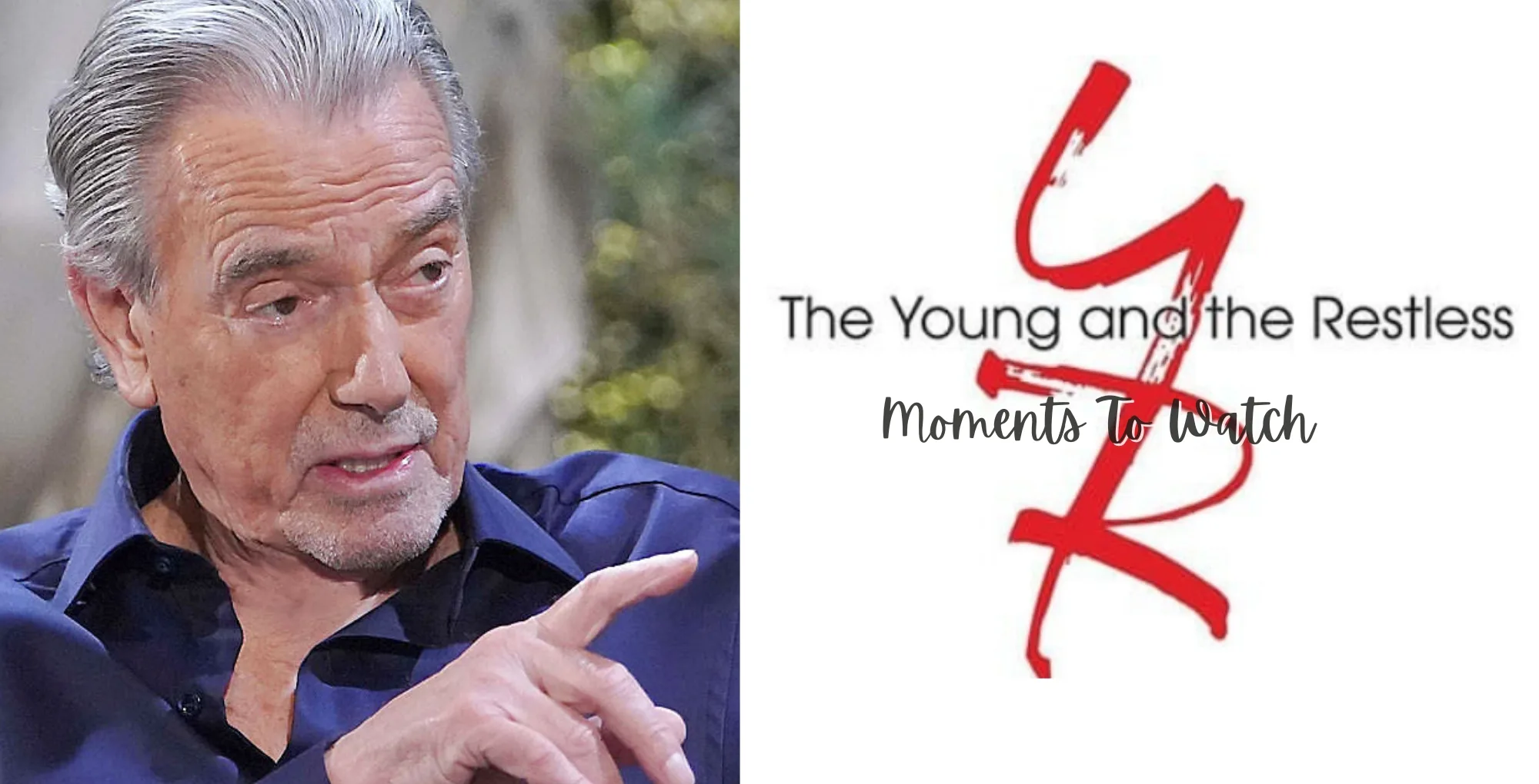 The Young and the Restless Victor.