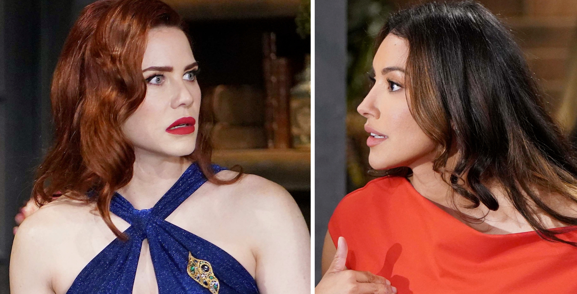 Young and the Restless Sally and Audra