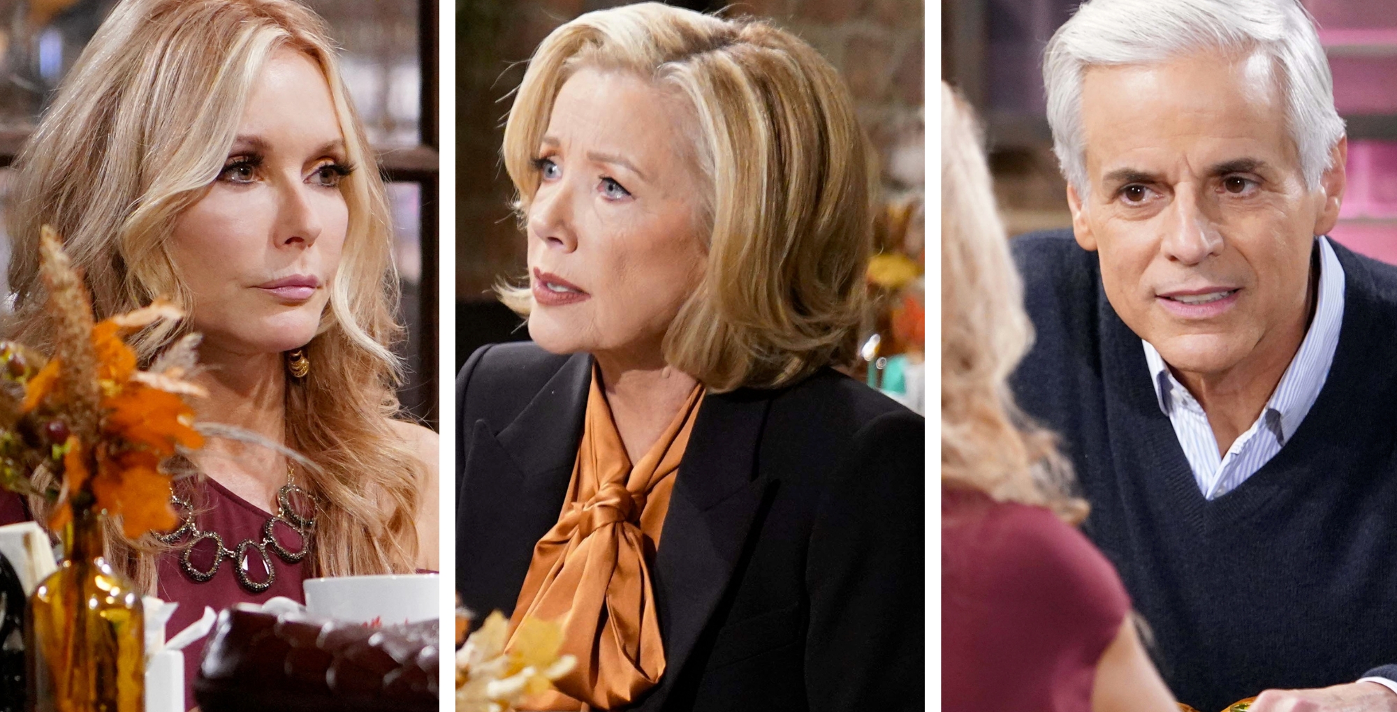 Young and the Restless Spoilers October 1 Lauren, Nikki, and Michael.