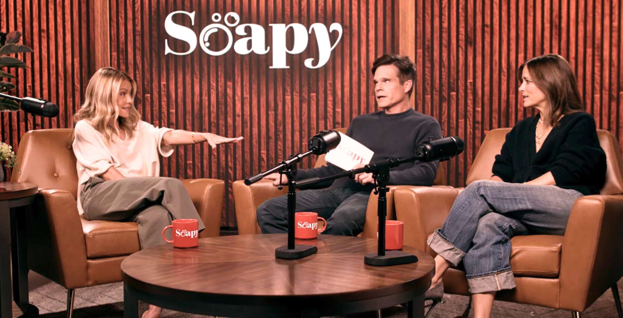 Kelly Ripa, Greg Rikaart, and Rebecca Budig on Soapy.