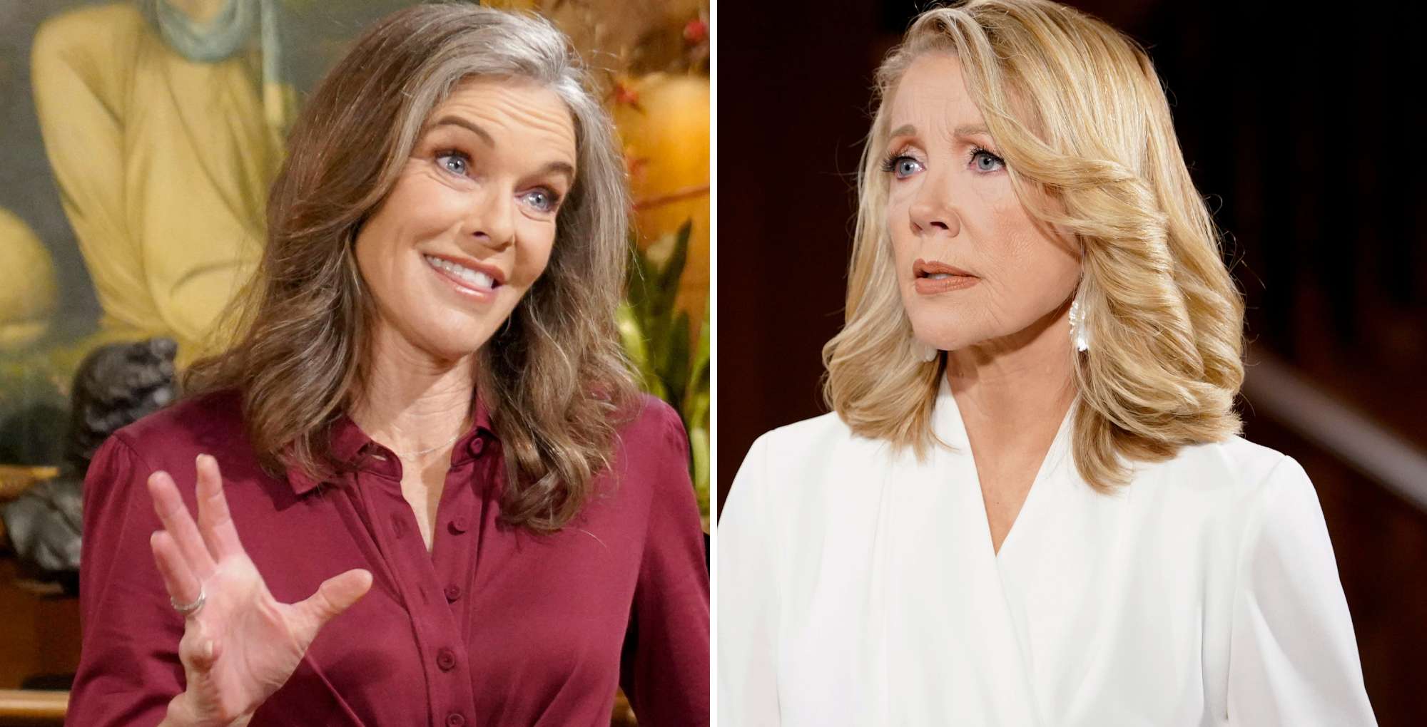 Young and the Restless Diane and Nikki.