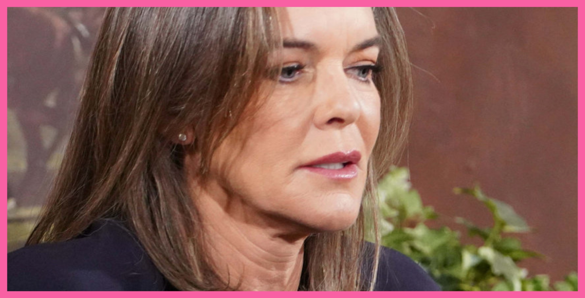 Young and the Restless Diane