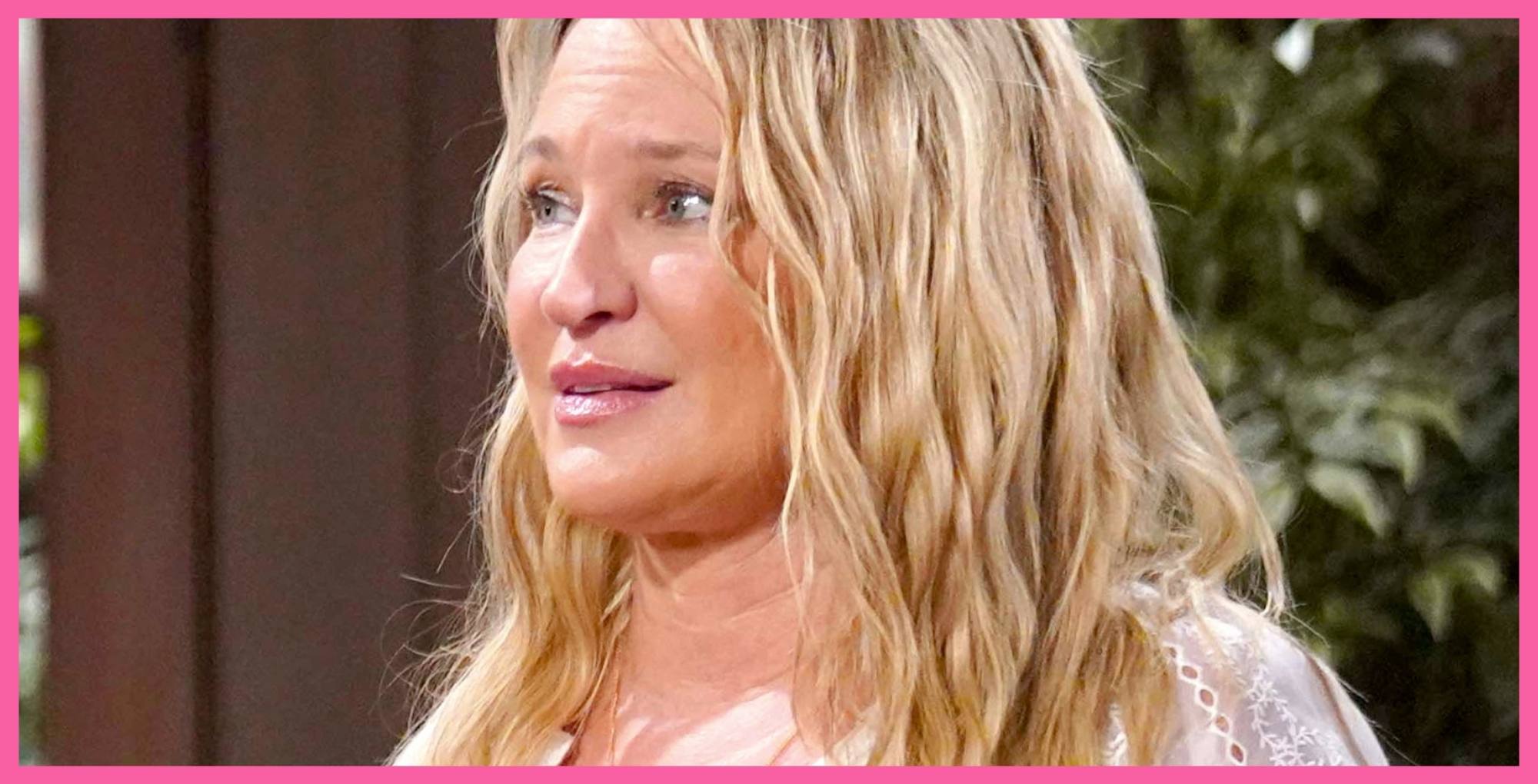 Young and the Restless Sharon Newman